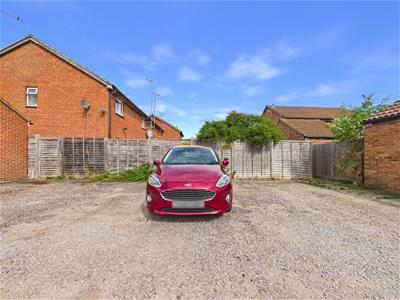 Picture 11